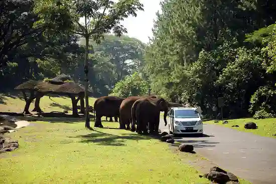 Tempat Wisata di Pasuruan