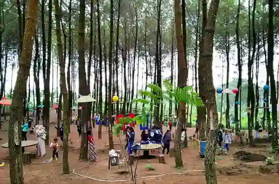 Precet Forest Park