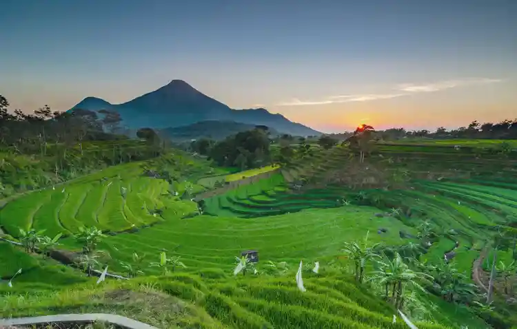 Tempat Wisata Mojokerto