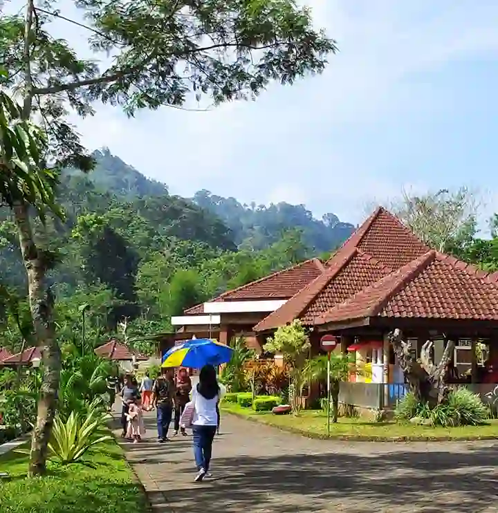 Wisata Gunung Gumitir Banyuwangi