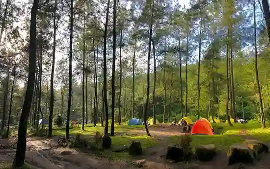 tiket masuk bedengan